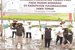 Gubernur Khofifah Percepat Masa Tanam Padi, Kebutuhan 16 Provinsi Indonesia Timur akan Stabil